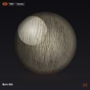 Bark 002