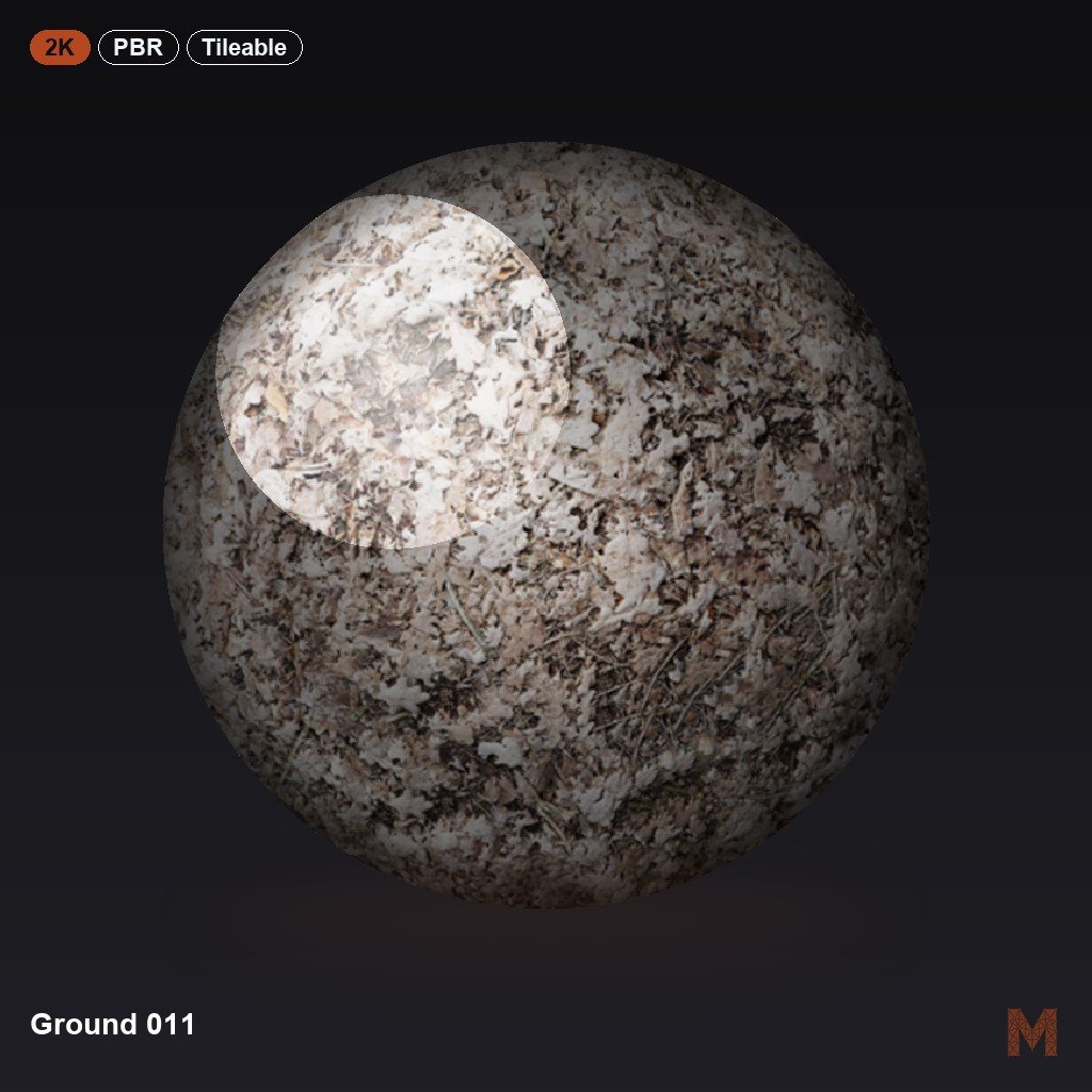 Ground 011