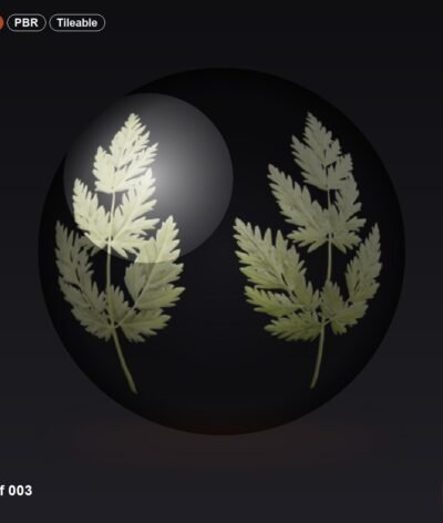 Leaf 003