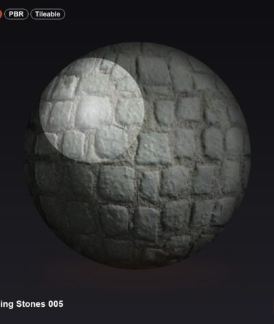 Paving Stones 005