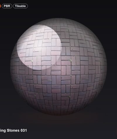 Paving Stones 031