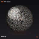 Shells 001