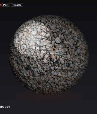 Shells 001