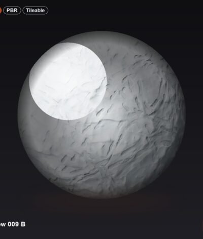 Snow 009 B