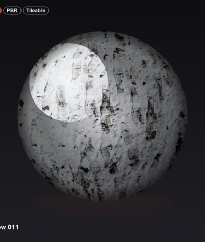 Snow 011