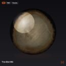 Tree End 002