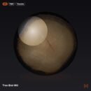 Tree End 003