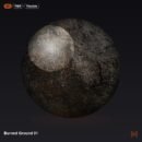Burned Ground 01