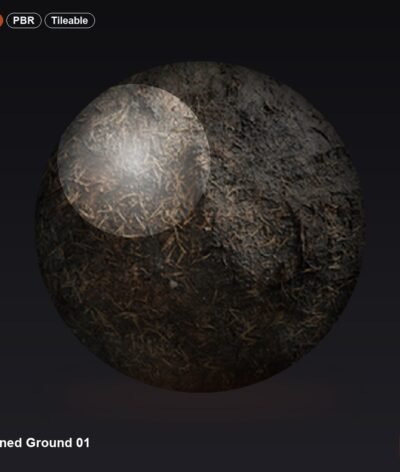 Burned Ground 01