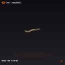 Dead Tree Trunk 02