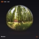 Meadow