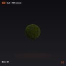 Moss 01