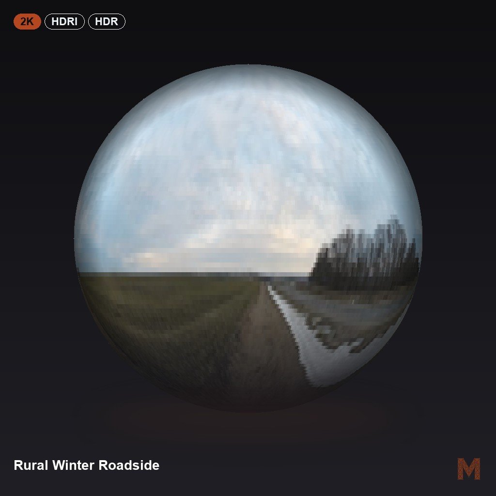 Rural Winter Roadside
