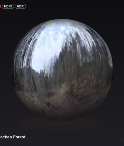 Schachen Forest