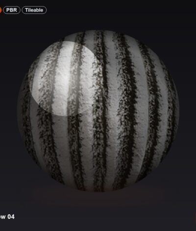 Snow 04