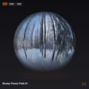 Snowy Forest Path 01