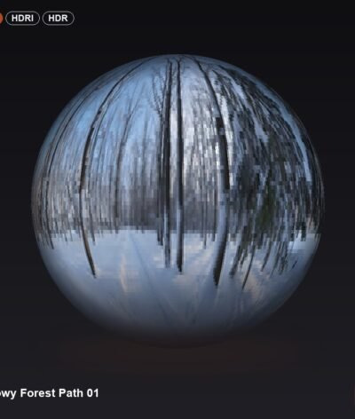 Snowy Forest Path 01