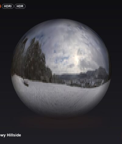 Snowy Hillside