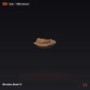 Wooden Bowl 01